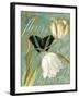 White Tulips-Color Bakery-Framed Giclee Print