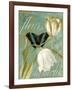 White Tulips-Color Bakery-Framed Giclee Print