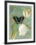 White Tulips-Color Bakery-Framed Giclee Print