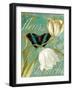 White Tulips-null-Framed Giclee Print