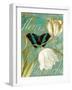 White Tulips-null-Framed Giclee Print