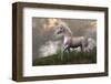 White Unicorn Stallion-null-Framed Art Print