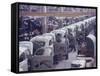 White Volkswagens Coming Down Assembly Line in Brazilian Factory-Paul Schutzer-Framed Stretched Canvas
