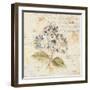 White Wash Hydrangea-Cheri Blum-Framed Art Print