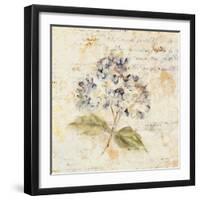 White Wash Hydrangea-Cheri Blum-Framed Art Print