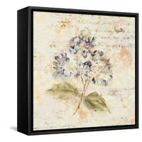White Wash Hydrangea-Cheri Blum-Framed Stretched Canvas