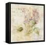 White Wash Lilac-Cheri Blum-Framed Stretched Canvas