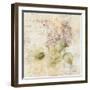 White Wash Lilac-Cheri Blum-Framed Art Print