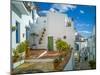 White washed houses lining a winding street, Frigiliana white village, Malaga Province, Andaluci...-Panoramic Images-Mounted Photographic Print