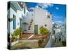 White washed houses lining a winding street, Frigiliana white village, Malaga Province, Andaluci...-Panoramic Images-Stretched Canvas