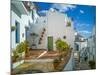 White washed houses lining a winding street, Frigiliana white village, Malaga Province, Andaluci...-Panoramic Images-Mounted Photographic Print