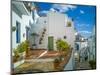 White washed houses lining a winding street, Frigiliana white village, Malaga Province, Andaluci...-Panoramic Images-Mounted Photographic Print