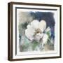 White Washed Peony-Carol Robinson-Framed Art Print