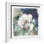 White Washed Peony-Carol Robinson-Framed Art Print