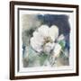 White Washed Peony-Carol Robinson-Framed Art Print