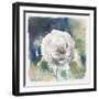 White Washed Rose-Carol Robinson-Framed Art Print