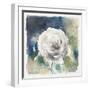 White Washed Rose-Carol Robinson-Framed Art Print