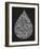 White Water Drop-Cat Coquillette-Framed Giclee Print