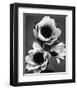 White Water Lily-null-Framed Premium Giclee Print