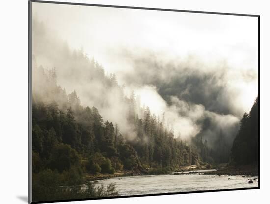White Water Rafting Along the Wild and Scenic Rogue River in Southern Oregon.-Justin Bailie-Mounted Photographic Print