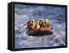 White Water Rafting, Queenstown, South Island, New Zealand-D H Webster-Framed Stretched Canvas