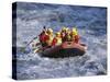 White Water Rafting, Queenstown, South Island, New Zealand-D H Webster-Stretched Canvas