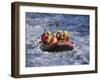 White Water Rafting, Queenstown, South Island, New Zealand-D H Webster-Framed Photographic Print