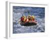 White Water Rafting, Queenstown, South Island, New Zealand-D H Webster-Framed Photographic Print