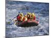 White Water Rafting, Queenstown, South Island, New Zealand-D H Webster-Mounted Photographic Print
