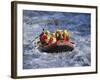 White Water Rafting, Queenstown, South Island, New Zealand-D H Webster-Framed Photographic Print