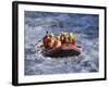 White Water Rafting, Queenstown, South Island, New Zealand-D H Webster-Framed Photographic Print