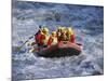 White Water Rafting, Queenstown, South Island, New Zealand-D H Webster-Mounted Photographic Print