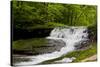 White Waterfall Photo Print Poster-null-Stretched Canvas