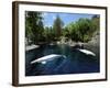 White Whale at the Aquarium, Vancouver, British Columbia, Canada-Alison Wright-Framed Photographic Print