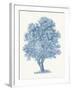 White Willow-Maria Mendez-Framed Giclee Print