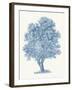 White Willow-Maria Mendez-Framed Giclee Print