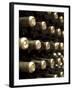 White Wine Bottles Maturing in a Cellar-Steven Morris-Framed Photographic Print