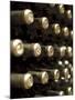 White Wine Bottles Maturing in a Cellar-Steven Morris-Mounted Photographic Print