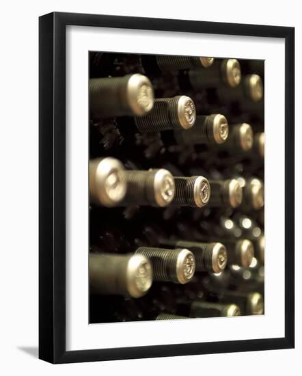 White Wine Bottles Maturing in a Cellar-Steven Morris-Framed Photographic Print