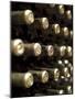 White Wine Bottles Maturing in a Cellar-Steven Morris-Mounted Photographic Print