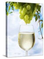 White Wine Dripping from Grapes into a Wine Glass-Paul Williams-Stretched Canvas