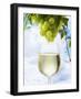 White Wine Dripping from Grapes into a Wine Glass-Paul Williams-Framed Premium Photographic Print