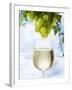 White Wine Dripping from Grapes into a Wine Glass-Paul Williams-Framed Photographic Print