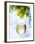 White Wine Dripping from Grapes into a Wine Glass-Paul Williams-Framed Photographic Print
