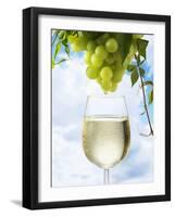 White Wine Dripping from Grapes into a Wine Glass-Paul Williams-Framed Photographic Print