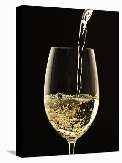 White Wine Pouring from Bottle into Glass-John Hay-Stretched Canvas