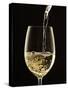 White Wine Pouring from Bottle into Glass-John Hay-Stretched Canvas