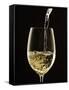 White Wine Pouring from Bottle into Glass-John Hay-Framed Stretched Canvas