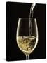 White Wine Pouring from Bottle into Glass-John Hay-Stretched Canvas