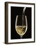 White Wine Pouring from Bottle into Glass-John Hay-Framed Premium Photographic Print